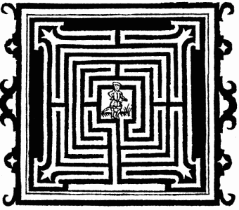 Maze